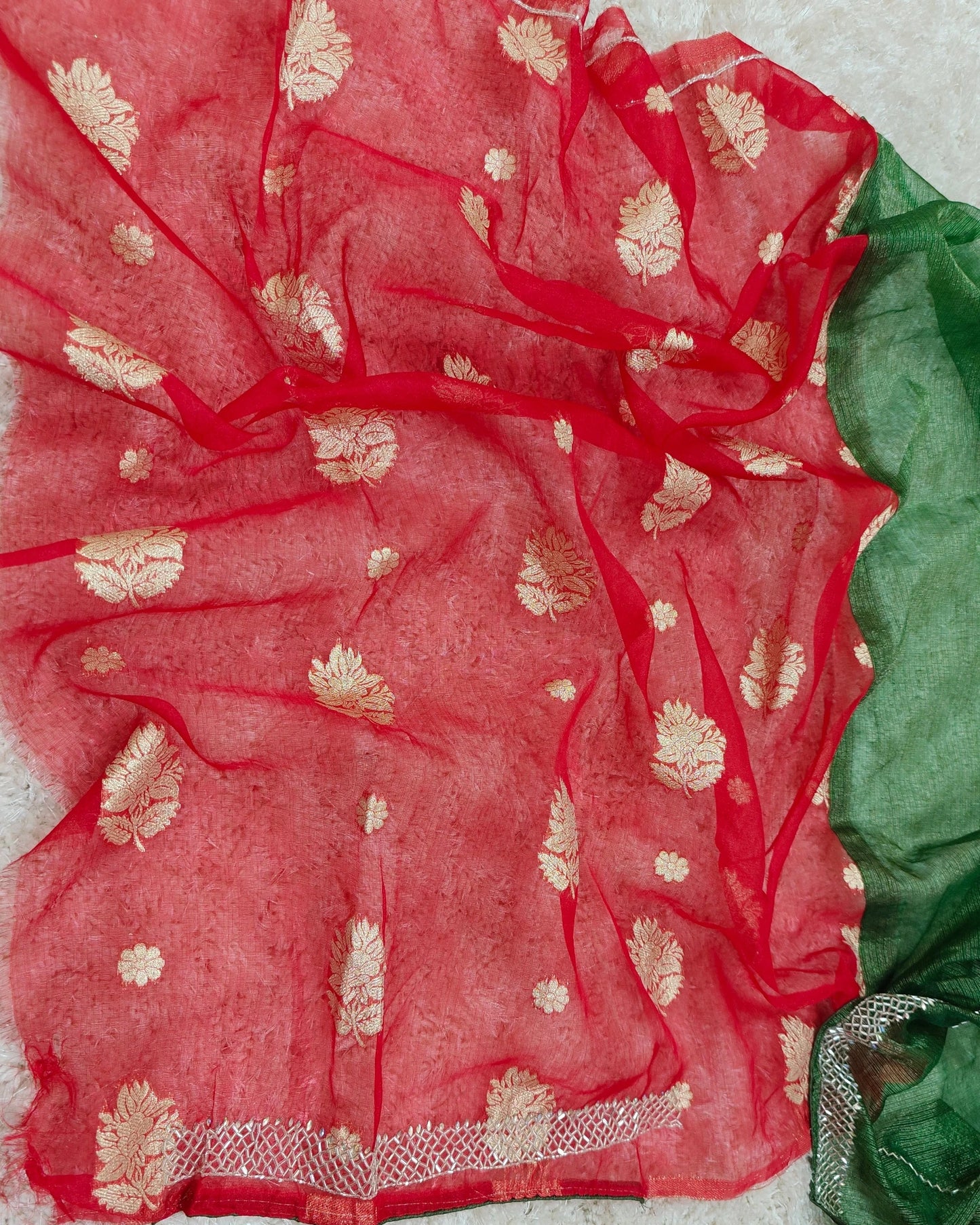 Kiara – RT2026037 Twill Net Designer Saree | Cat Dana Work Border - View 4 | RAJRANI TRENDS