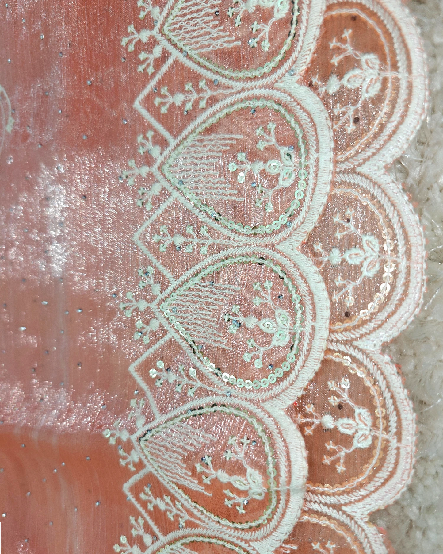 Kavya – RT2026042 Jimmy Choo Saree with Thread Embroidery Border - View 5 | RAJRANI TRENDS